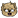:AstonishedBear: