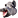 :Boar_PHG: