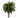 :DesertPalm: