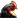 Vous Poule