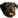 :staticdog: