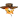 :western_garfield: