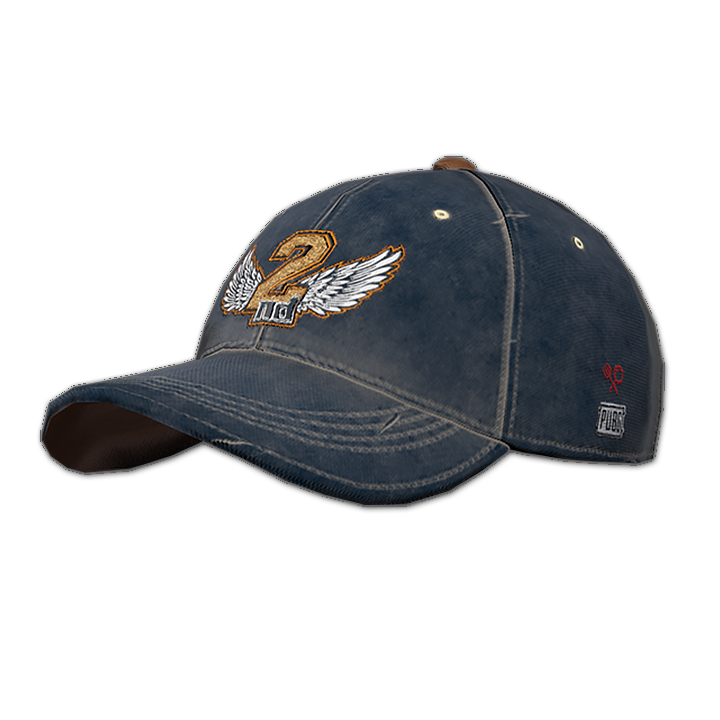 2 Year Anniversary Cap