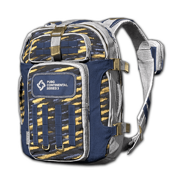 Level 4 backpack top pubg