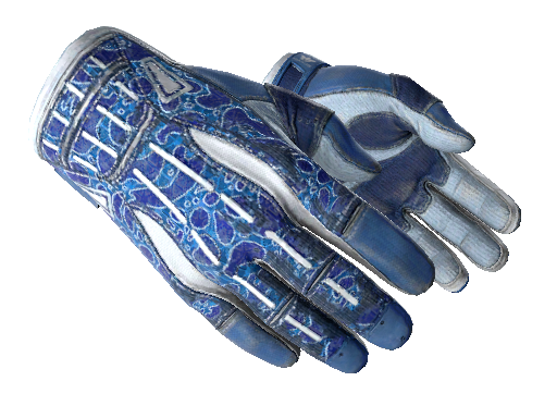 ★ Sport Gloves | Amphibious (Well-Worn)
