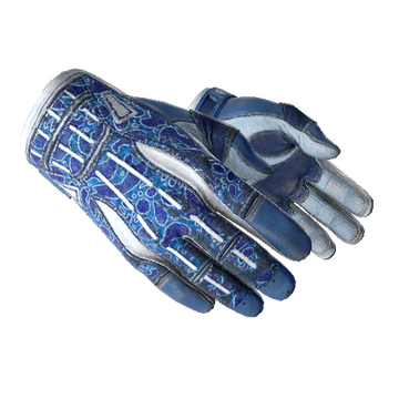 Steam Community Market :: Listings for ☆ Sport Gloves Amphibious