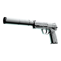 USP-S | Whiteout (Well-Worn)