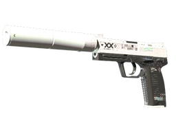StatTrak™ USP-S | Printstream