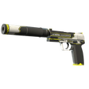 USP-S | Torque (Factory New)