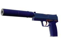 Souvenir USP-S | Royal Blue