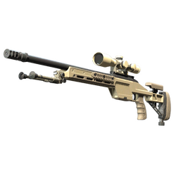 CS2 weapon types csgostocks cs2stocks