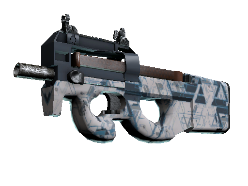 P90 | Schematic (Minimal Wear)