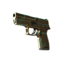P250 | Verdigris (Field-Tested)