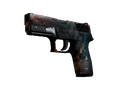 P250 | Supernova (Well-Worn)