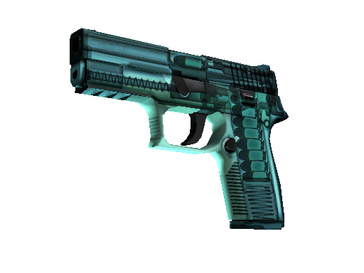 P250 | X-Ray image