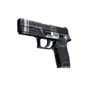 P250 | Re.built (Minimal Wear)