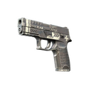 P250 | Re.built (Minimal Wear)