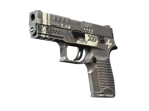 P250 | Re.built image