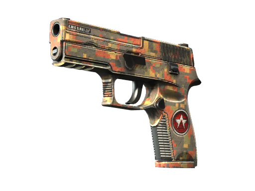 P250 | Red Rock image