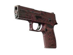 StatTrak™ P250 | Contaminant