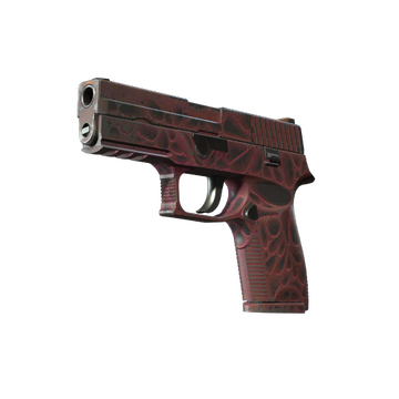 Stattrak tm p250