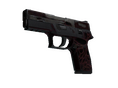 StatTrak™ P250 | Contaminant (Battle-Scarred)