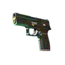 P250 | Visions (Factory New)