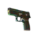 P250 | Visions (Field-Tested)