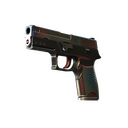 P250 | Cyber Shell (Field-Tested)