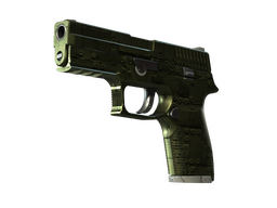 StatTrak™ P250 | Iron Clad