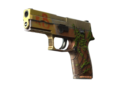 P250 | Inferno image