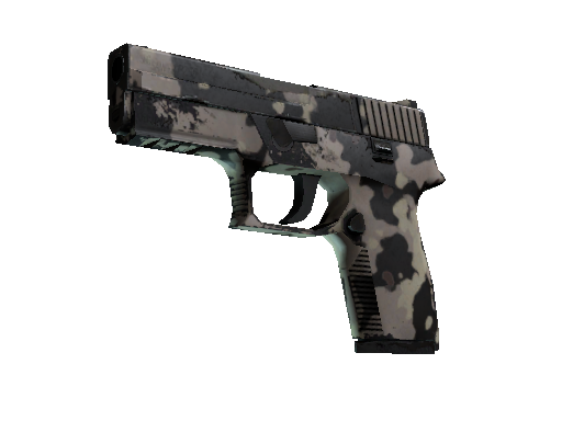 P250 | Black & Tan (Well-Worn)