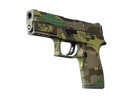 P250 | Boreal Forest image