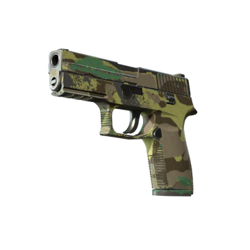 Souvenir P250 | Boreal Forest (Well-Worn)