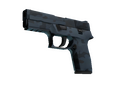 P250 | Forest Night (Factory New)