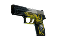 P250 | Wingshot (Battle-Scarred)