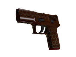 Stattrak tm p250