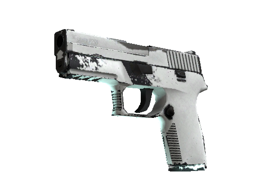 P250 | Whiteout (Field-Tested)