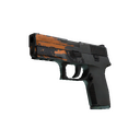 P250 | Splash (Field-Tested)