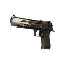 Desert Eagle | Oxide Blaze (Well-Worn)