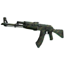 AK-47 | Jungle Spray (Field-Tested)