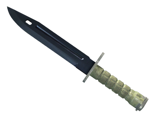 Bayonet | Blue Steel image