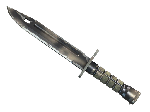 Bayonet | Scorched image