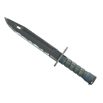 ★ Bayonet | Night (Well-Worn)
