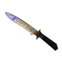 ★ Classic Knife | Case Hardened (Field-Tested)