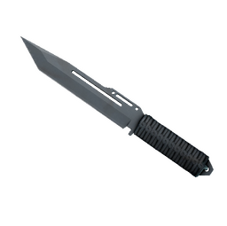 ★ Paracord Knife | Night Stripe (Factory New)