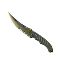 ★ Flip Knife | Case Hardened (Well-Worn)