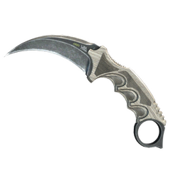 CS2 weapon types csgostocks cs2stocks