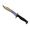 ★ Bowie Knife | Case Hardened (Field-Tested)