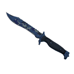 ★ StatTrak™ Bowie Knife | Bright Water (Well-Worn)